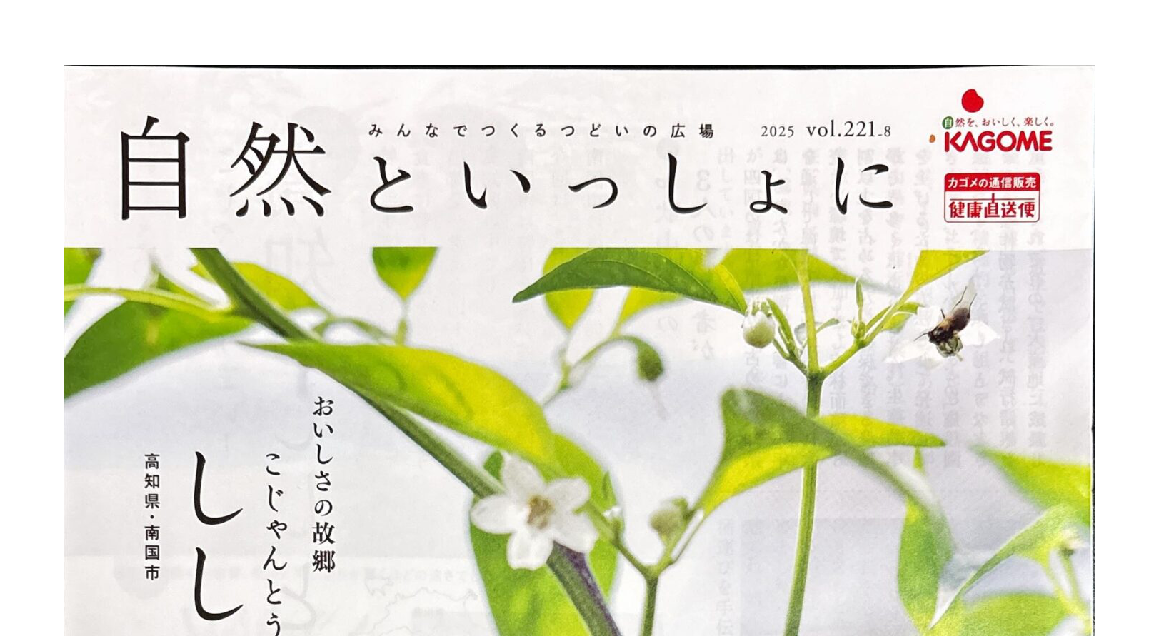 ラジオ